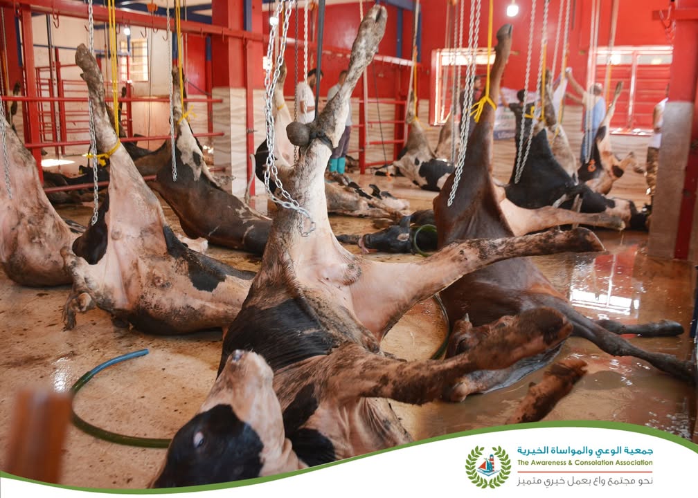 تتساقط معاني التعب مع ظهور أول فرحة تُتَرجمُها ابتسامة على ثغر فقير ومحتاج نال نصيبه من…